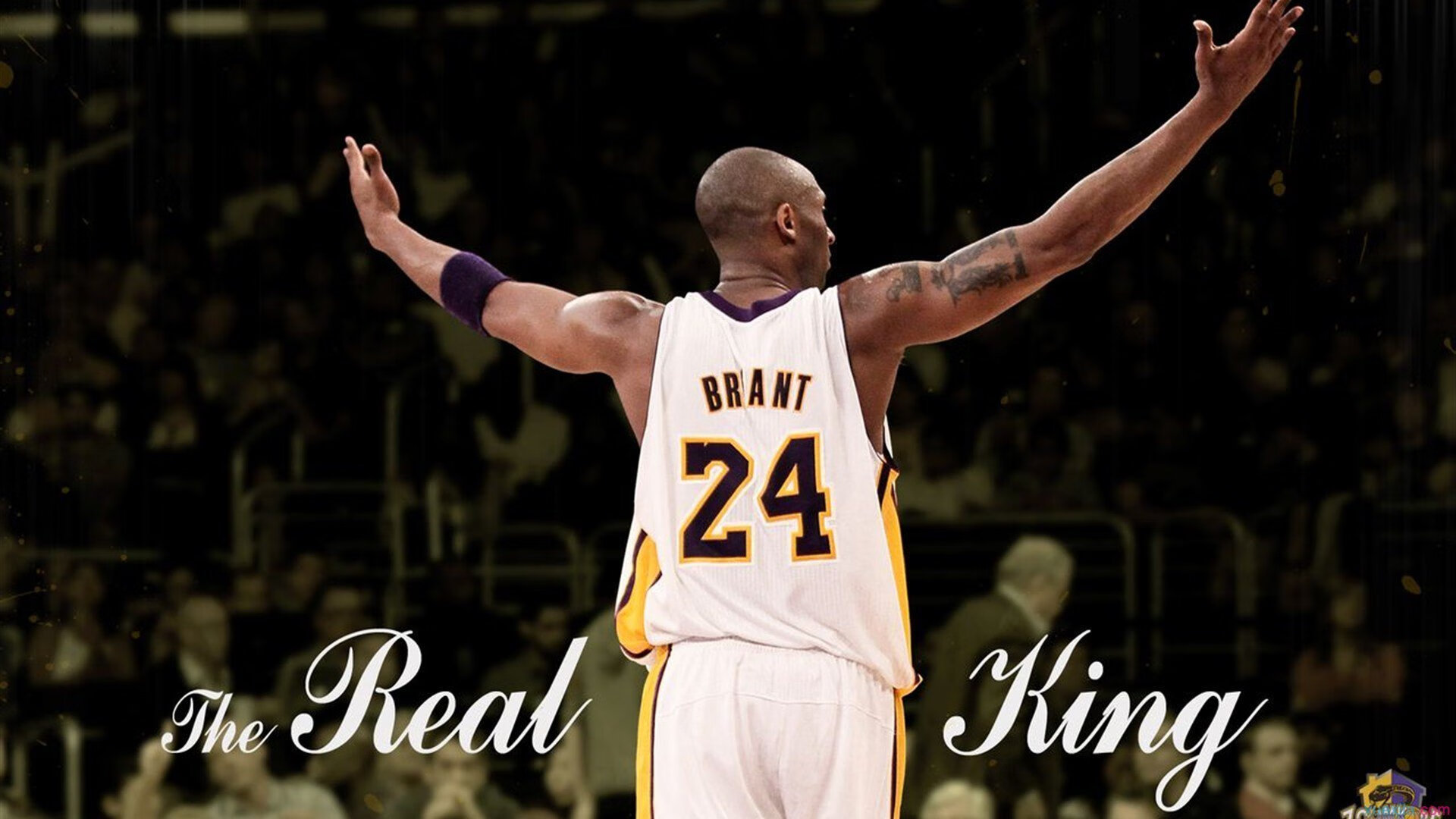 “从青训到国际舞台：萨尔·巴赫的进阶之路”