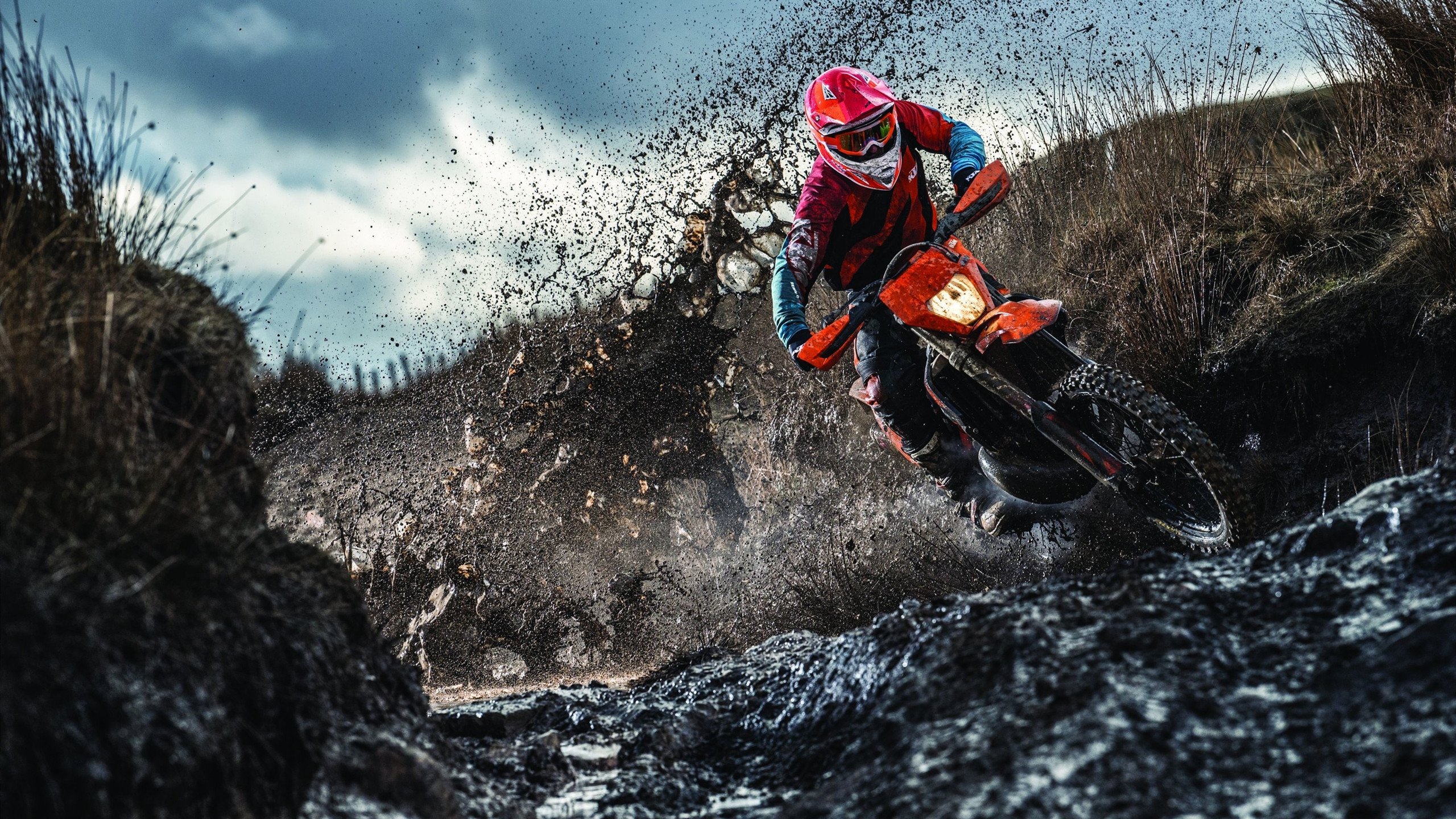 星空体育在线登录-“帕布罗·马特拉的精神领袖作用，让阿根廷美洲狮队战斗力爆发”